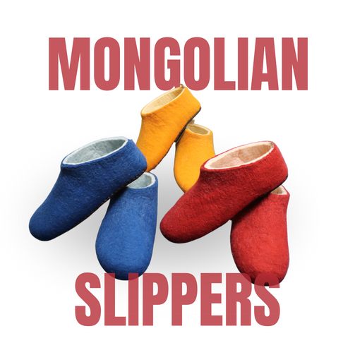 Mongolian Slippers